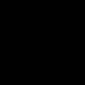 Meet your Posher, Shianne